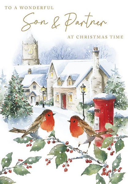 Christmas Card - Son and Partner - Robins & Post Box In The Snow