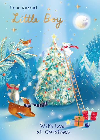 Christmas Card - Special Little Boy - Special Christmas