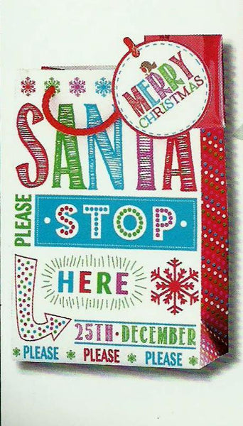 Christmas Gift Bags - Small Fun Kids DVD