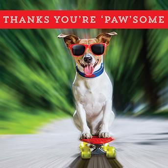 Thank You Card - Jack Russell On Skateboard