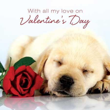 Valentine Card - Labrador Puppy With Red Nose from Ling Design, Valentine's Day Cards in France, Cartes de voeux Saint Valentin, English cards in France